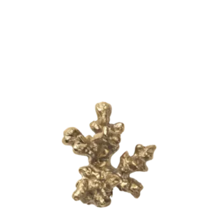 Comber Coral Branch Hook in brass with branching, textured coral form