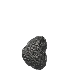Comber Coral Hook in blackened aluminium with textured coral surface